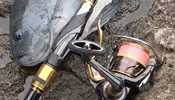 2019 Daiwa Laxus LBD 11 2019 Daiwa Laxus LBD - Image 9