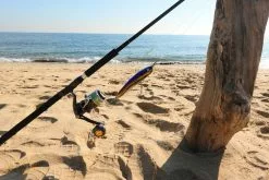 2021 Hibiki X Livre Lapis 210 -Hot Sale Fishing Rods Shop 131406150 2856330524611631 6413050811572976695 n