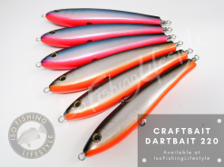 Craft Bait 2020 Craftbait Dartbait 220mm 115g
