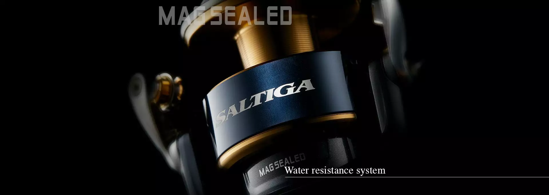 Daiwa 2020 Saltiga 6 Daiwa 2020 Saltiga - Image 4