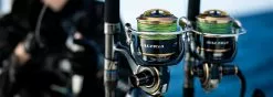 Daiwa 2020 Saltiga 21 Daiwa 2020 Saltiga -Hot Sale Fishing Rods Shop 2020 Saltiga 7 0601d46b 8e59 4478 9191 0bb59a213d8f