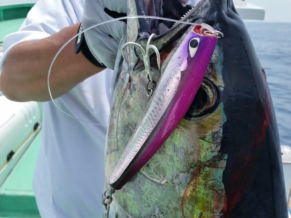 CB One 2022 Dixon 200mm 8 CB One 2022 Dixon 200mm - Image 6