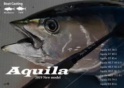 Ripple Fisher Aquila MLT 82-3/6