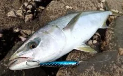 Daiwa Shore Spartan Break Through 140S 60g -Hot Sale Fishing Rods Shop BreakThrough cut01