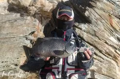 Sunline V-Hard Fluorocarbon Leader 50m 7 Sunline V-Hard Fluorocarbon Leader 50m -Hot Sale Fishing Rods Shop DSC0038 7