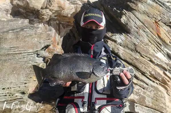 Sunline V-Hard Fluorocarbon Leader 100M 5 Sunline V-Hard Fluorocarbon Leader 100M - Image 3