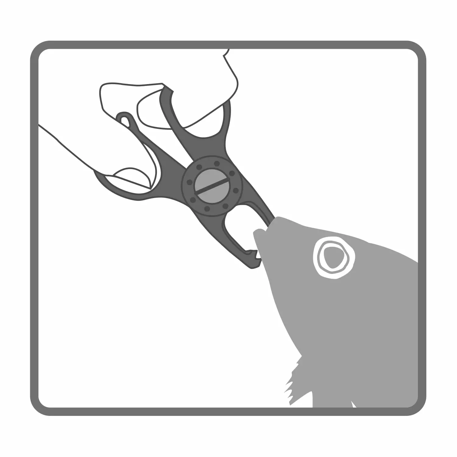 Daiichi Gar Grip Nano MC Fish Grip 7 Daiichi Gar Grip Nano MC Fish Grip - Image 5