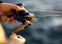 Daiwa 2022 Saltiga 15 Overhead Jigging Reel 27 Daiwa 2022 Saltiga 15 Overhead Jigging Reel -Hot Sale Fishing Rods Shop Daiwa22Saltiga15H