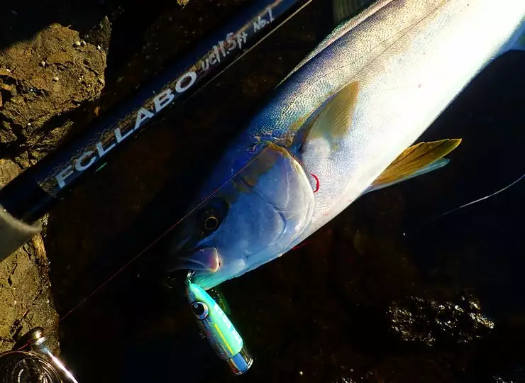 FCL LABO UC11.5ft 2S (Double S) (Spinning) 9 FCL LABO UC11.5ft 2S (Double S) (Spinning) - Image 7