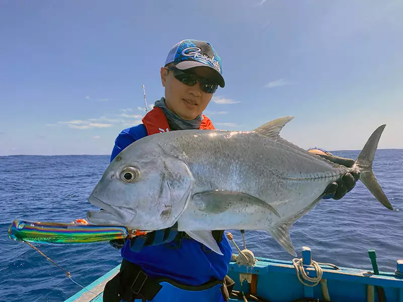 2022 Hibiki X Livre Xicara 200 9 2022 Hibiki X Livre Xicara 200 - Image 7