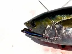 2022 Hibiki X Livre Xicara 200 17 2022 Hibiki X Livre Xicara 200 -Hot Sale Fishing Rods Shop HibikiXLivreXicara2007