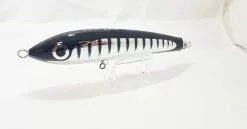 Carpenter Bluefish BF 60 - 170 Diablo Black Silver Stripe Silver Eye