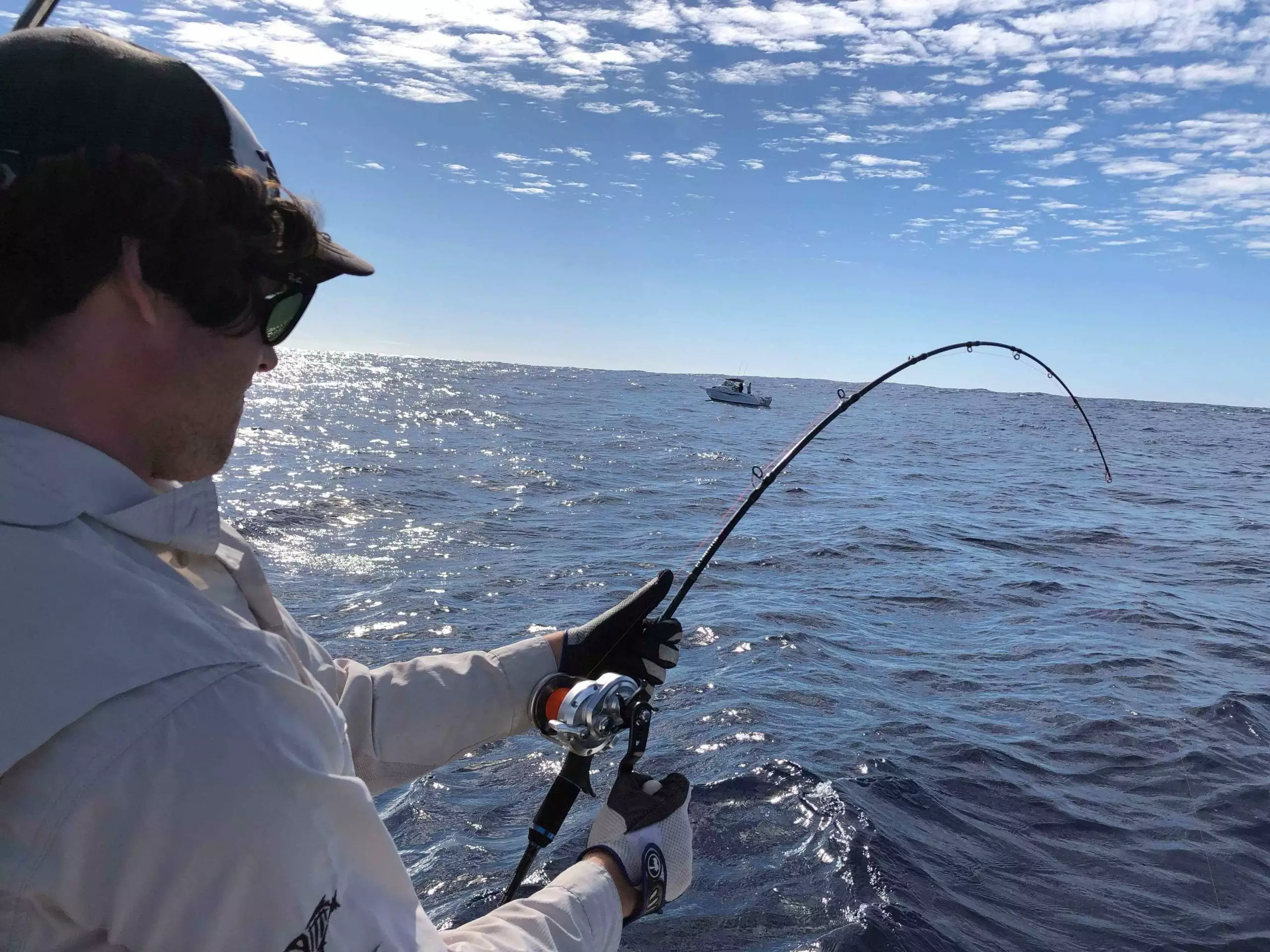 Ocean's Legacy Ocean’s Legacy Elementus Overhead 4 Ocean's Legacy Ocean’s Legacy Elementus Overhead - Image 2