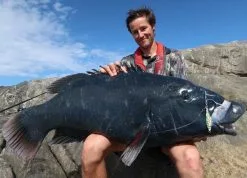 Ocean's Legacy 2020 Specialist Shore Rods (Spin) -Hot Sale Fishing Rods Shop IMG 9552 e1585585940563 1c5b46b4 8542 454a 9774 4c563bfe0b95