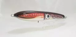 Carpenter Gamma 90 L Squid