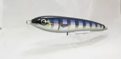Carpenter Gamma 90 L Pilot Fish