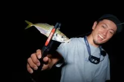 Magbite Aji Killer Feel Jighead - MB09 -Hot Sale Fishing Rods Shop MagbiteMB093