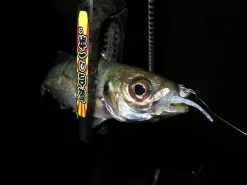 Magbite Aji Killer Feel Jighead - MB09 -Hot Sale Fishing Rods Shop MagbiteMB094