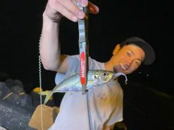 Magbite Aji Killer Feel Jighead - MB09 -Hot Sale Fishing Rods Shop MagbiteMB097