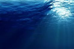 Ripple Fisher Runner Exceed 103H 25th Anniversary Christmas Limited Edition -Hot Sale Fishing Rods Shop RippleFisherRunnerExceed103H25thAnniversaryChristmasLimitedEdition