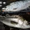 Ripple Fisher SilverStream 96 Flows Nano 1 Ripple Fisher SilverStream 96 Flows Nano -Hot Sale Fishing Rods Shop RippleFisherSilverStream81Stiletto1 2fc943aa c981 49d6 90f3 da26469ae0f6