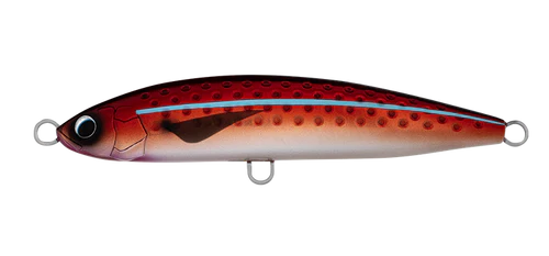 Daiwa Saltiga Rough Ride 5 Daiwa Saltiga Rough Ride - Image 4