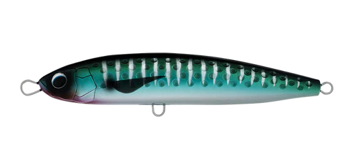 Daiwa Saltiga Rough Ride 11 Daiwa Saltiga Rough Ride - Image 10