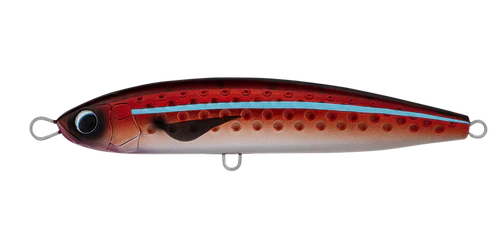 Daiwa Saltiga Rough Ride 12 Daiwa Saltiga Rough Ride - Image 11