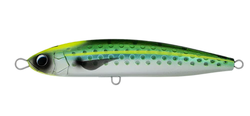 Daiwa Saltiga Rough Ride 14 Daiwa Saltiga Rough Ride - Image 13