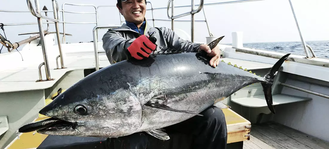 MC Works 2022 Slow Hand 846TSZ STD (ALL THAT TUNA) 4 MC Works 2022 Slow Hand 846TSZ STD (ALL THAT TUNA) - Image 2