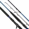 Daiwa Saltist X Fishing Rod