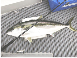 CB One Enfinity EN80/16 - Ultimate Dreamer -Hot Sale Fishing Rods Shop Screen Shot 2019 08 28 at 2.37.24 pm