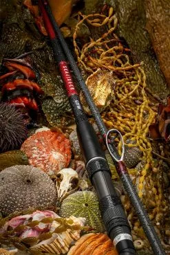 2019 Daiwa Seajigger Spin Rods 14 2019 Daiwa Seajigger Spin Rods -Hot Sale Fishing Rods Shop Seajigger 900x c7e64197 e4d4 47b2 81a7 f3900e13119f