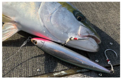 Shimano JDM Ocea Pencil 160F OT-160J 27 Shimano JDM Ocea Pencil 160F OT-160J -Hot Sale Fishing Rods Shop Shimano2019JDMOceaPencil145FOT 145K1 bff16c46 dfb4 4f60 8e46 f57a5b797498