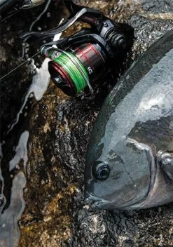 2019 Daiwa Cygnus LBD 17 2019 Daiwa Cygnus LBD -Hot Sale Fishing Rods Shop cygnus 001