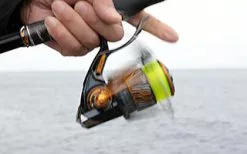 Daiwa 2020 Impult 3000SH-LBD -Hot Sale Fishing Rods Shop daiwa2020impult3000SH13 ff1397ef 8662 4648 a1a8 f1ef5f92b85c