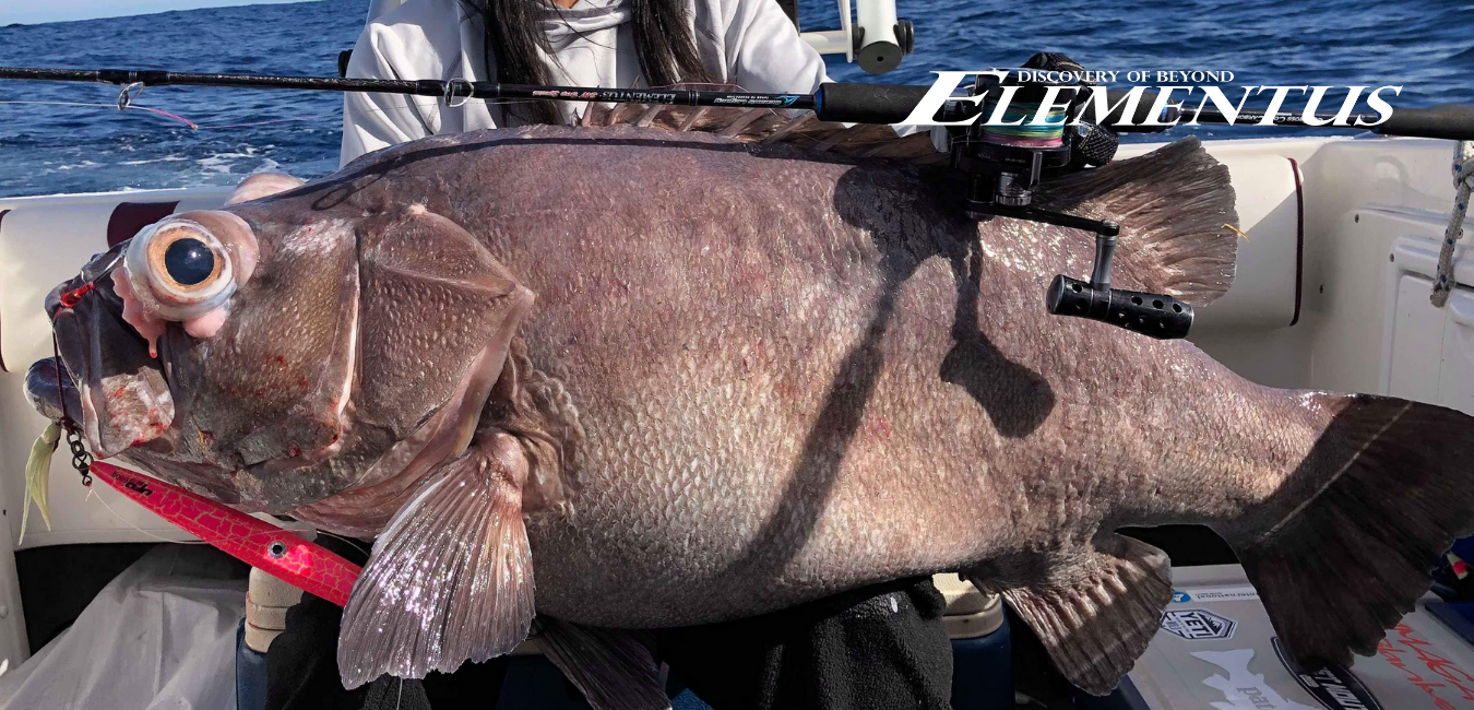 Ocean's Legacy Ocean’s Legacy Elementus Overhead 3 Ocean's Legacy Ocean’s Legacy Elementus Overhead