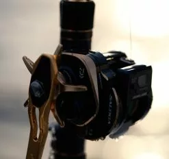 2021 Daiwa Saltiga IC 24 2021 Daiwa Saltiga IC -Hot Sale Fishing Rods Shop field07