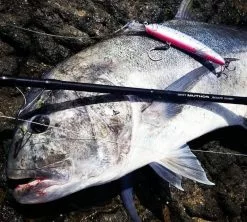 2019 Maria Boar SS195 85g -Hot Sale Fishing Rods Shop image 0dff7fc8 75f4 41cc 8ed4 0b22d82807d2