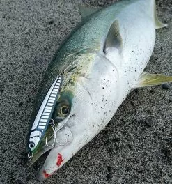 2020 Maria Rerise 105mm 40g -Hot Sale Fishing Rods Shop img rerisesss105 01