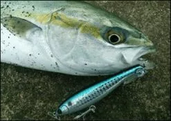 Maria Fla-Pen Blue Runner 115mm 38g -Hot Sale Fishing Rods Shop img sec2 02