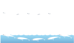 Maria Legato Stickbait F190 24 Maria Legato Stickbait F190 -Hot Sale Fishing Rods Shop legato img02