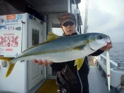 MC Works Real Fusion RF601LR (Special Model) -Hot Sale Fishing Rods Shop real fusion 601LR SP thumbnail