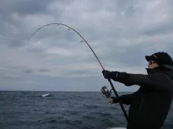 MC Works Slow Hand SH875PD