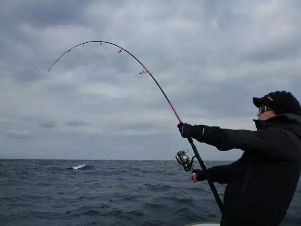 MC Works Seven Miles SM816CR 3 MC Works Seven Miles SM816CR