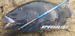 Ocean's Legacy 2020 Specialist Shore Rods (Spin) -Hot Sale Fishing Rods Shop specialist2 02548fc6 4222 4675 8a53 27d754779986