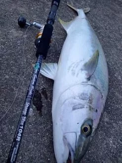 MC Works 2022 Strange Blue SB104R SP -Hot Sale Fishing Rods Shop strange blue 103r SP thumbnail 6499b28d cf4a 4314 93e2 ba8e29f39682