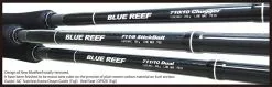 Yamaga Blanks Blue Reef 80/8 Dual 8 Yamaga Blanks Blue Reef 80/8 Dual -Hot Sale Fishing Rods Shop yamaga blue reef 2