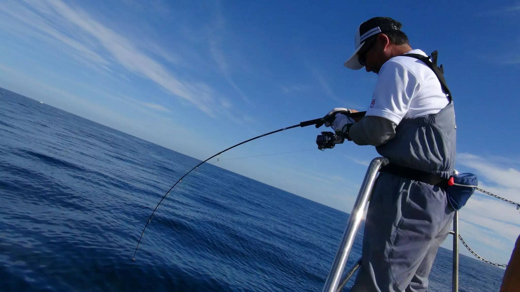 Zenaq Fokeeto Whippy FB63-5 4 Zenaq Fokeeto Whippy FB63-5 - Image 2